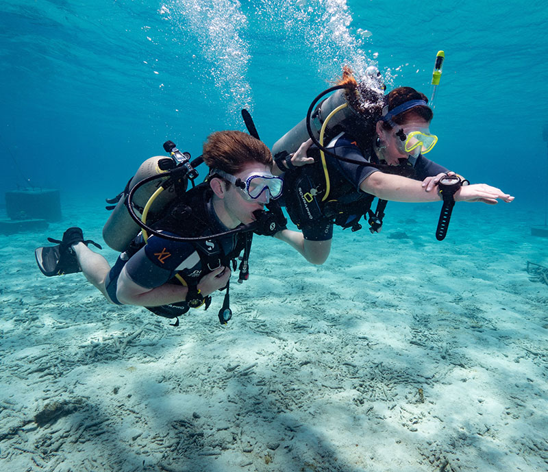 beginner PADI open water diver referral