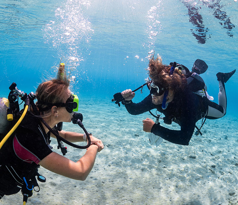 PADI open water diver