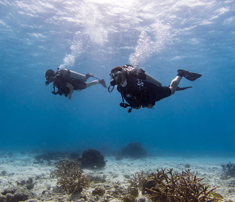 beginner scuba diver