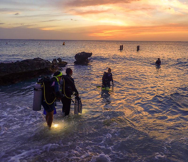 night diving