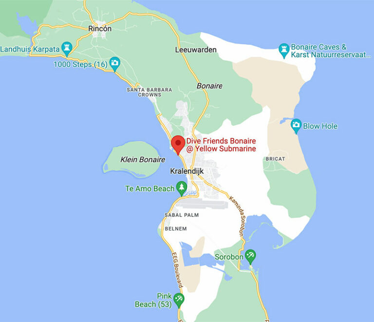 Dive Shops Dive Friends Bonaire