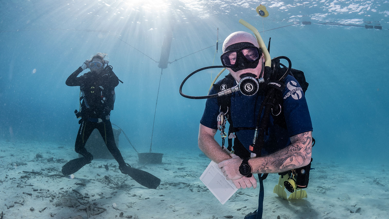 www.divefriendsbonaire.com