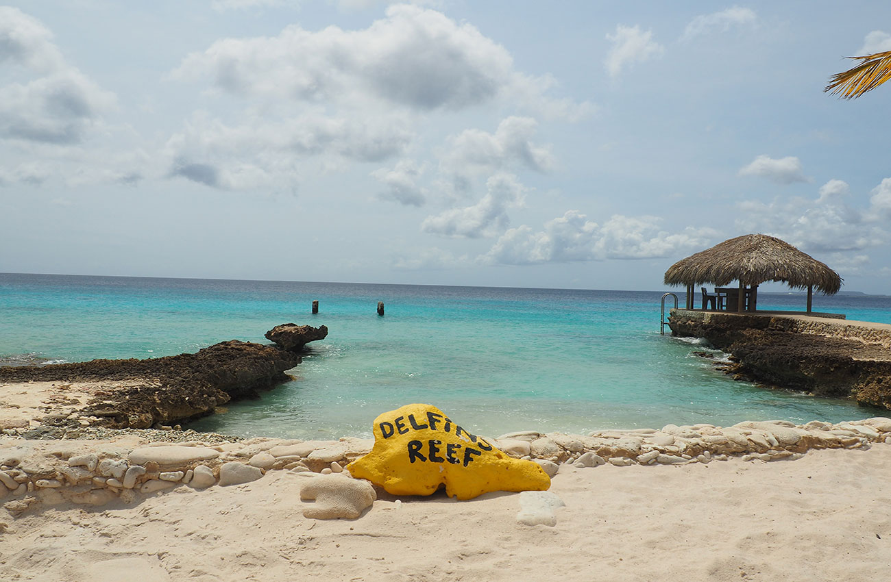 5 Best House Reefs of Dive Friends Bonaire