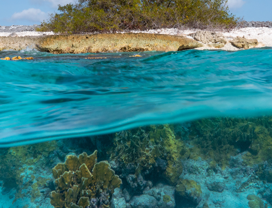 activities-snorkel-shore-trip-main activities-snorkel-shore-trip-main