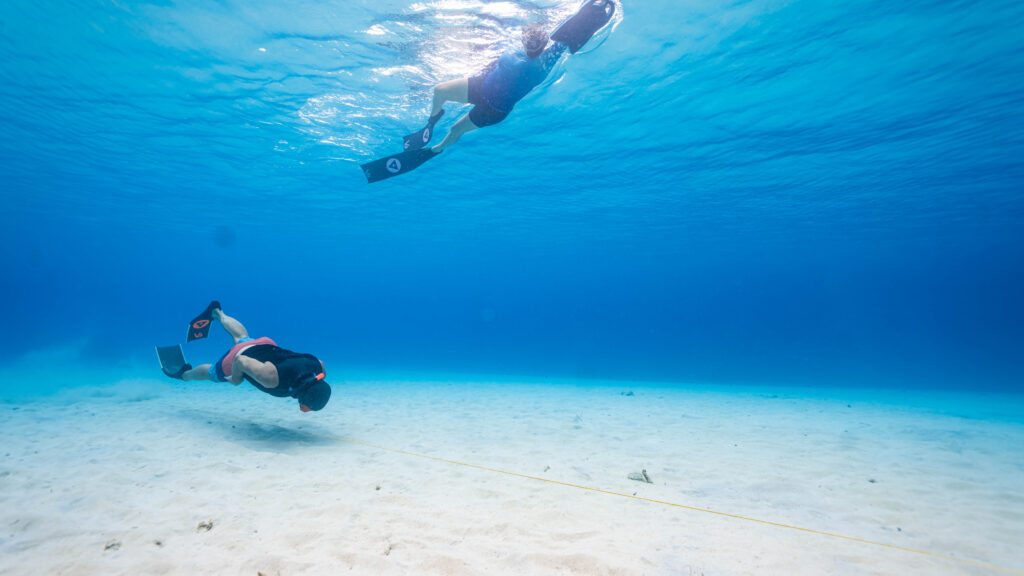 Freediving-DiveInn-19