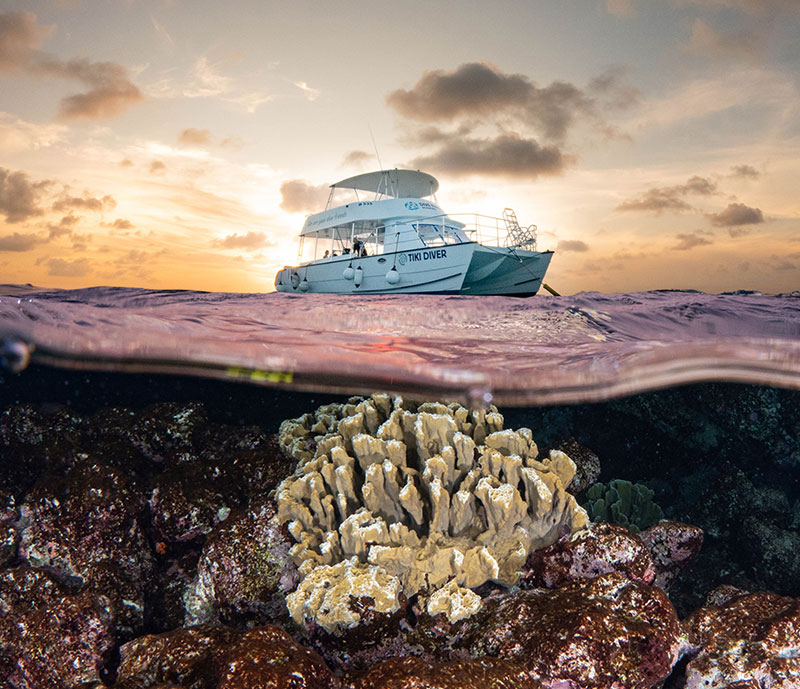 diving-boat-dives-dusk-diving-2025