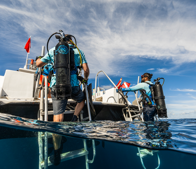 diving-avelo-boat