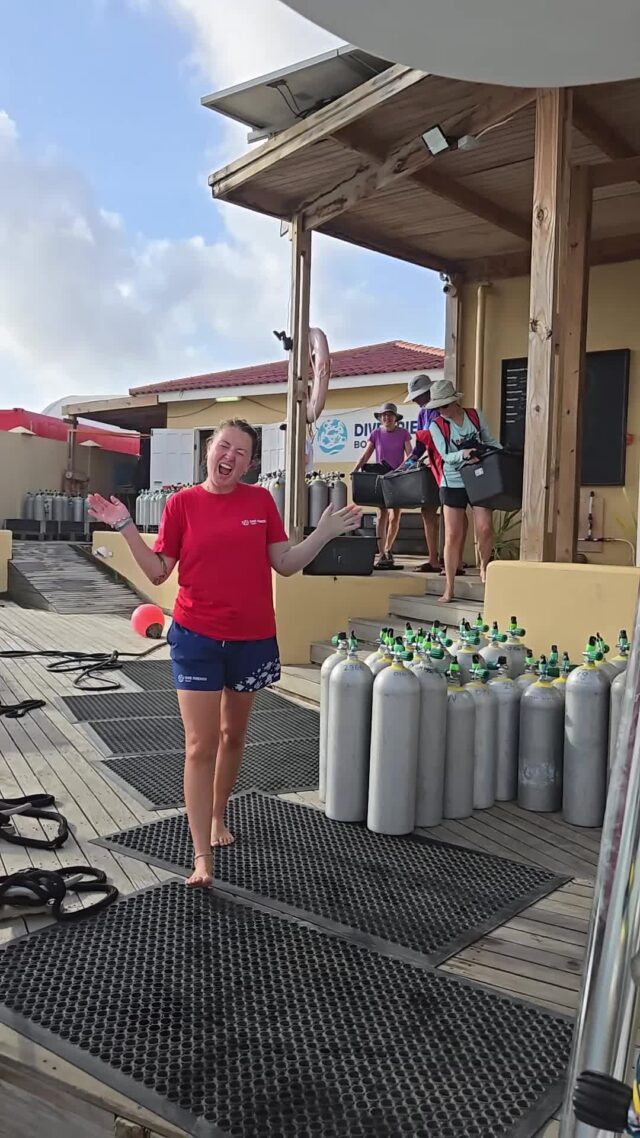 Tanks filled, gear prepped, boats ready. Every smooth dive starts with their hard work.
Drop a 💪 if you appreciate your dive team!

🤿 Zoe
🤿 Denise
🤿 Jay
🤿 James
🤿 Liam
🤿 Kim

#bonaire #divefriends #scubadiving #bookyourdive #scubacrew