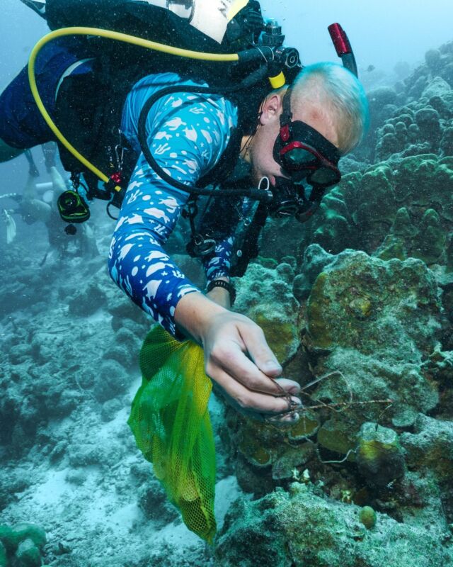 Want to help keep Bonaire’s reefs beautiful and thriving? 

Our 2nd Quarterly Clean-Up is coming up! Join us and make a difference—every piece of debris removed helps protect our underwater world.

📅 Date: April 26
🤿 Dive site: North Pier

Sign up now through the link in bio!
Let’s dive in together for a cleaner ocean!

#oceancleanup #bonaire #divingwithpurpose #divefriends #restorethereef
