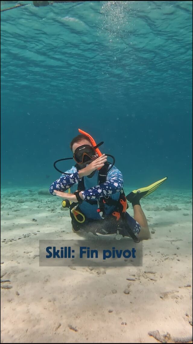 Learning control starts with the basics! The fin pivot is an essential scuba skill that helps new divers get a feel for buoyancy and body positioning 🤿

It’s all about finding that perfect balance. 

#scubaskills #discoverscubadiving #divefriends #bonaire #scubadiving