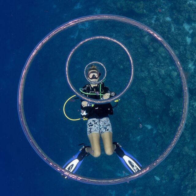 We are your dive friends 🐬

And that's why we will make sure you feel like you're diving with long-time friends during our scuba activities. One of the things you learn on your scuba diving journey is how to feel at ease in the water. It's important for your enjoyment, safety, and buoyancy skills!

Our divemasters and instructors are here for you, whether you're a pro or just a newbie!