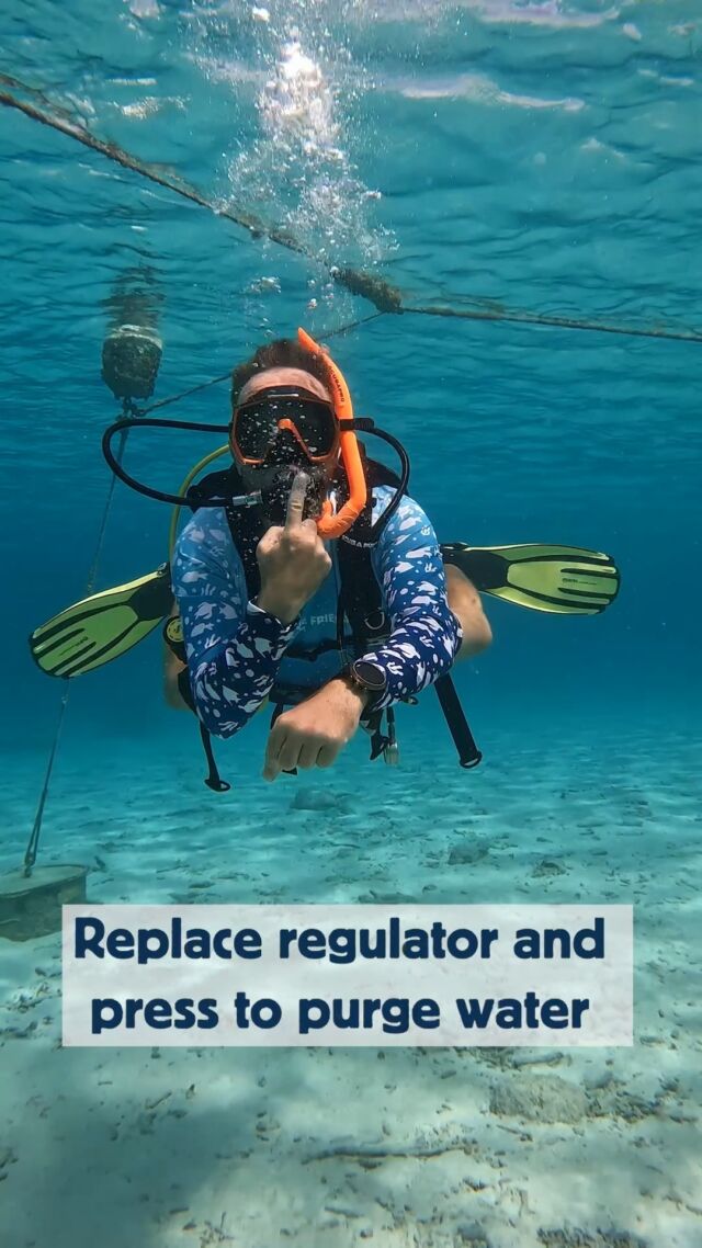 Regulator clearing is one of the first skills every diver masters 💨

Dropping your regulator underwater might seem scary at first, but with practice, clearing becomes second nature. The key is to stay calm. 

Every skill you learn brings you one step closer to becoming a confident, capable diver! 🤿

#scubaskills #discoverscubadiving #divefriends #bonaire