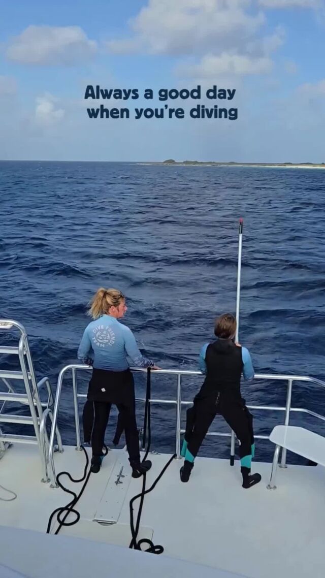 The feeling you get when you know you're going diving 🕺🤿

#scubadiving #discoverscubadiving #bonaire #divefriends #scubalife