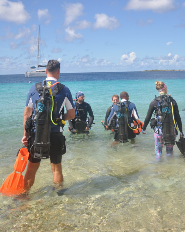 A week of diving redefined. 

Here’s everything that’s included in our Avelo Signature Experience:
🏩 Accommodation, 
🛻 Transport, 
🤿 Diving, 
🍗 BBQ,
👕 Personalized Avelo Dive Centre t-shirt

#diveavelo #avelosignatureweek #bonaire #divefriends #scubadiving
