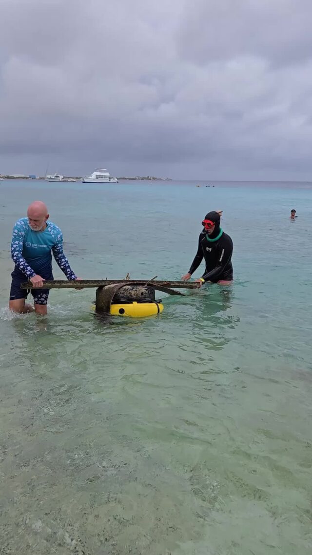 On April 26th, our second quarterly Clean-Up Dive brought together around 50 amazing volunteers, and together we removed 377 pieces of trash, totaling 150 kg, from the reef at Chachacha Beach.

Here’s what we found:
🔹 175 pieces of plastic
🔹 53 pieces of glass
🔹 52 pieces of cloth
🔹 53 pieces of metal
🔹 7 pieces of rubber
🔹 26 pieces of wood
🔹 11 mixed-material items
🔹 … and 2 tires! 🛞😳

Every piece removed makes a difference. Thank you to everyone who showed up and helped protect Bonaire’s reefs! 🙌🌴

Stay tuned for our next Clean-Up Dive — the ocean needs heroes like you! 💪

#bonaire #cleanupdive #padiaware #underwaterworld #divefriends