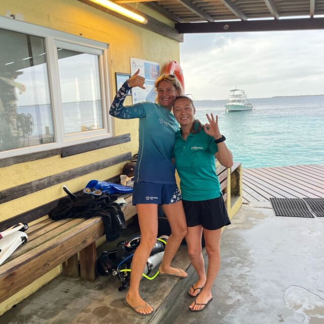 New PADI Instructors in the house! 🥳 Congratulations to @kimstagramski and @tessavolbeda. Their hard work and dedication truly paid off 💙

And let’s not forget @koapiris, our newest IDC Staff Instructor! 👏
 
A big shoutout to @eddy.883, our incredible course director, for guiding them every step of the way!

#padi #bonaire #divefriends #scubadiving #scubainstructor