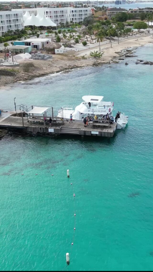 Sometimes you just need to dive into the clear waters of Bonaire 🤿

#bonaire #scubadiving #scubalife #underwaterworld #divefriends