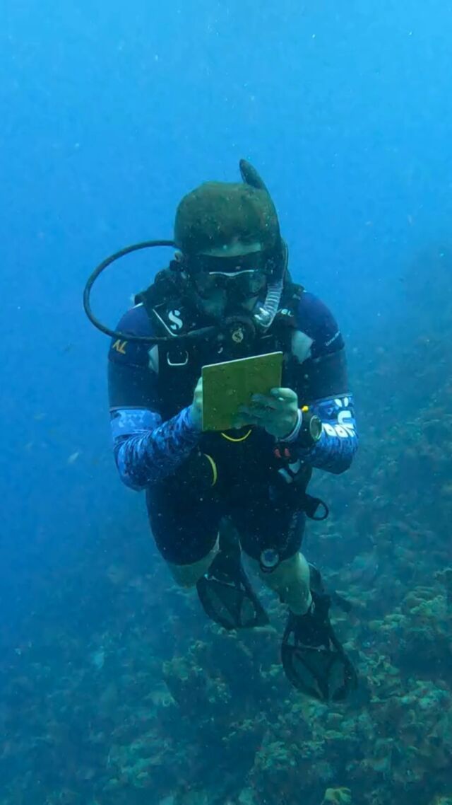 What’s the one dive item you never leave behind? 🤿  Cast your vote and let’s see what tops the list! 

Is it your wetsuite, lucky dive socks, or something else? Drop your pick below! 

#scubadiving #bonaire #divefriends #scubagear